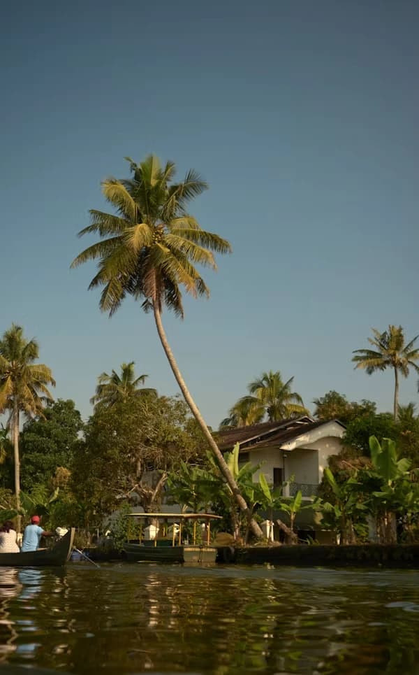God's Own Country