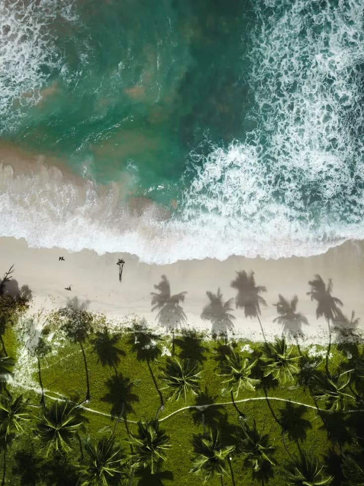 Andaman Fully Loaded With Neil Stay